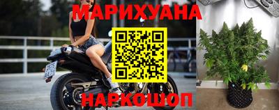сатива Аргун