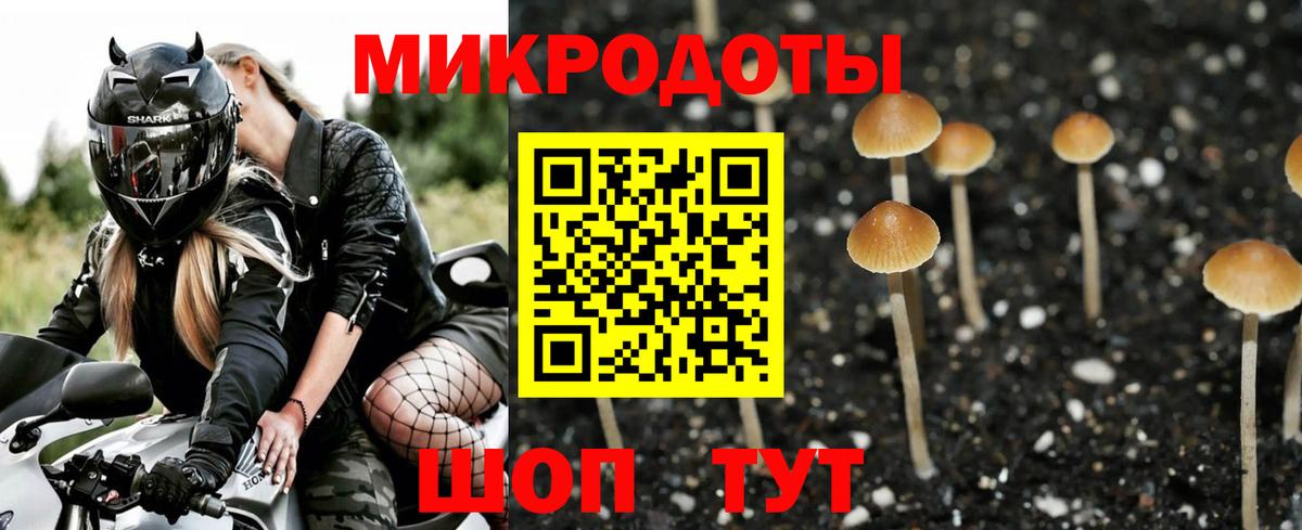 Волжский  Галлюциногенные грибы мицелий  Галлюциногенные грибы GOLDEN TEACHER  Вход с VPN 